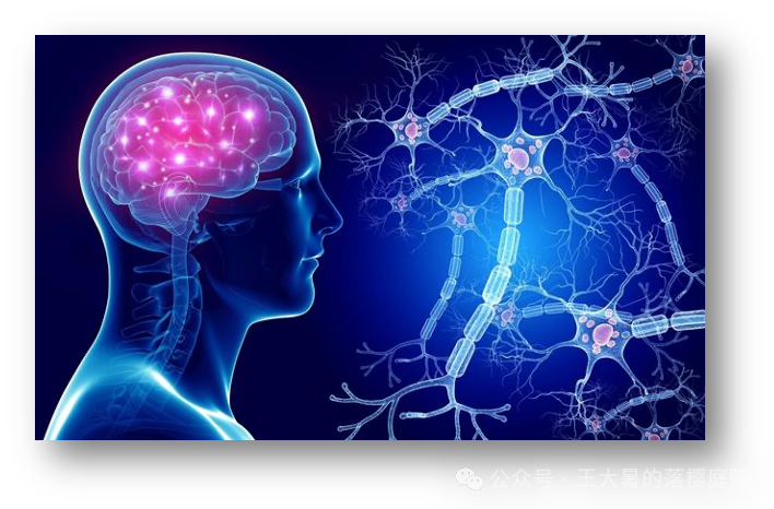 #107 CT重建的3D深度学习技术——深度学习图像重建算法分类 #107 CT重建的3D深度学习技术——深度学习图像重建算法分类